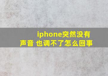 iphone突然没有声音 也调不了怎么回事